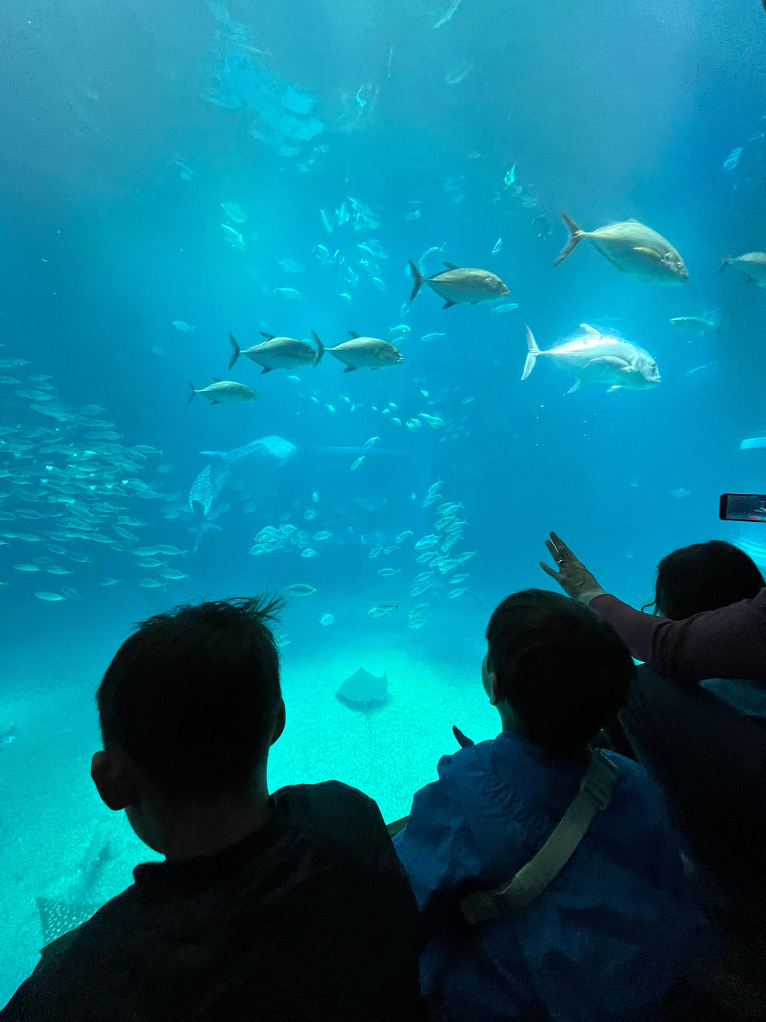 A Fun Day Exploring Osaka with New Friends