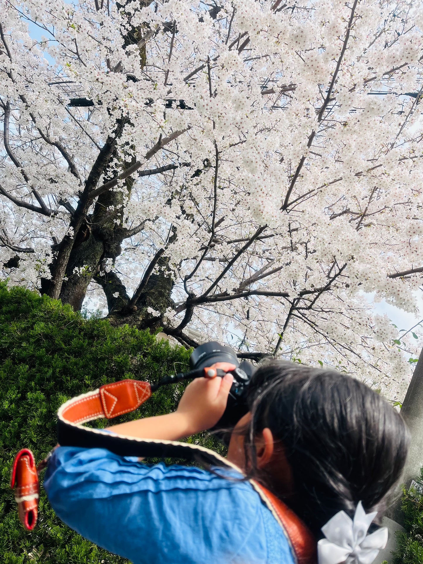 The local family weekend experience