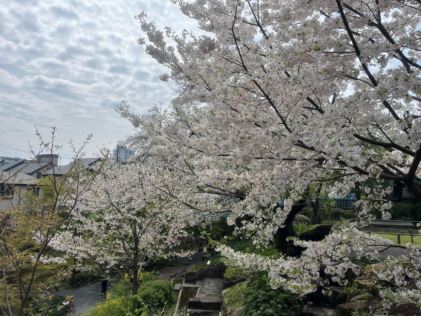 The local family weekend experience