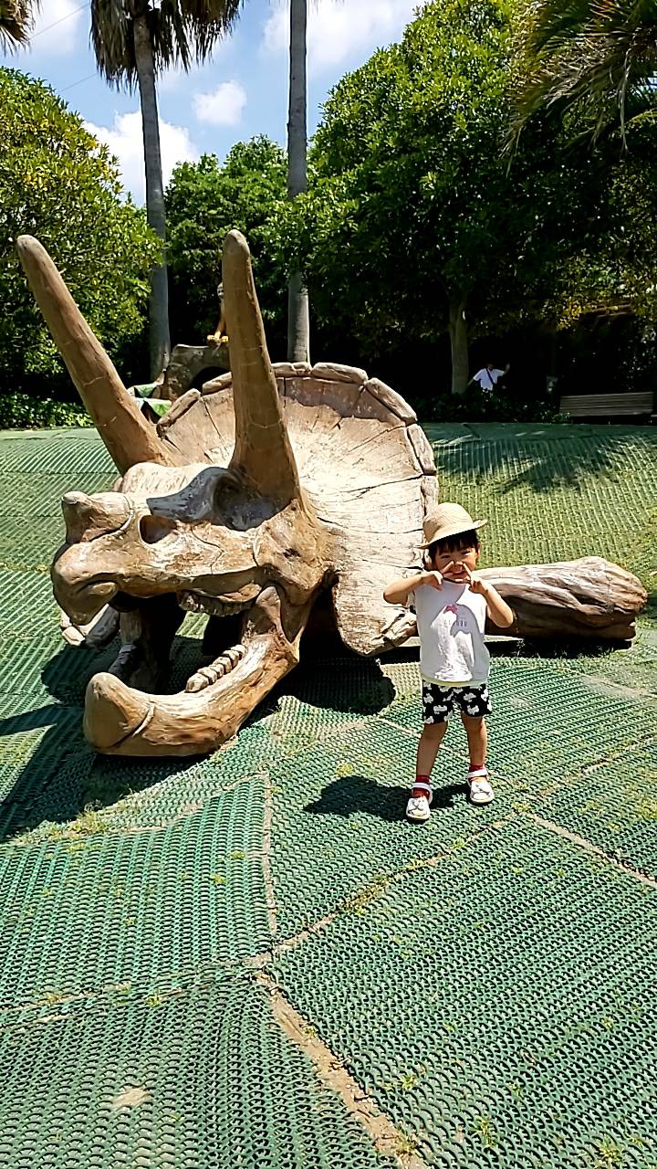 Playground at Zoo & Eat Japanese food