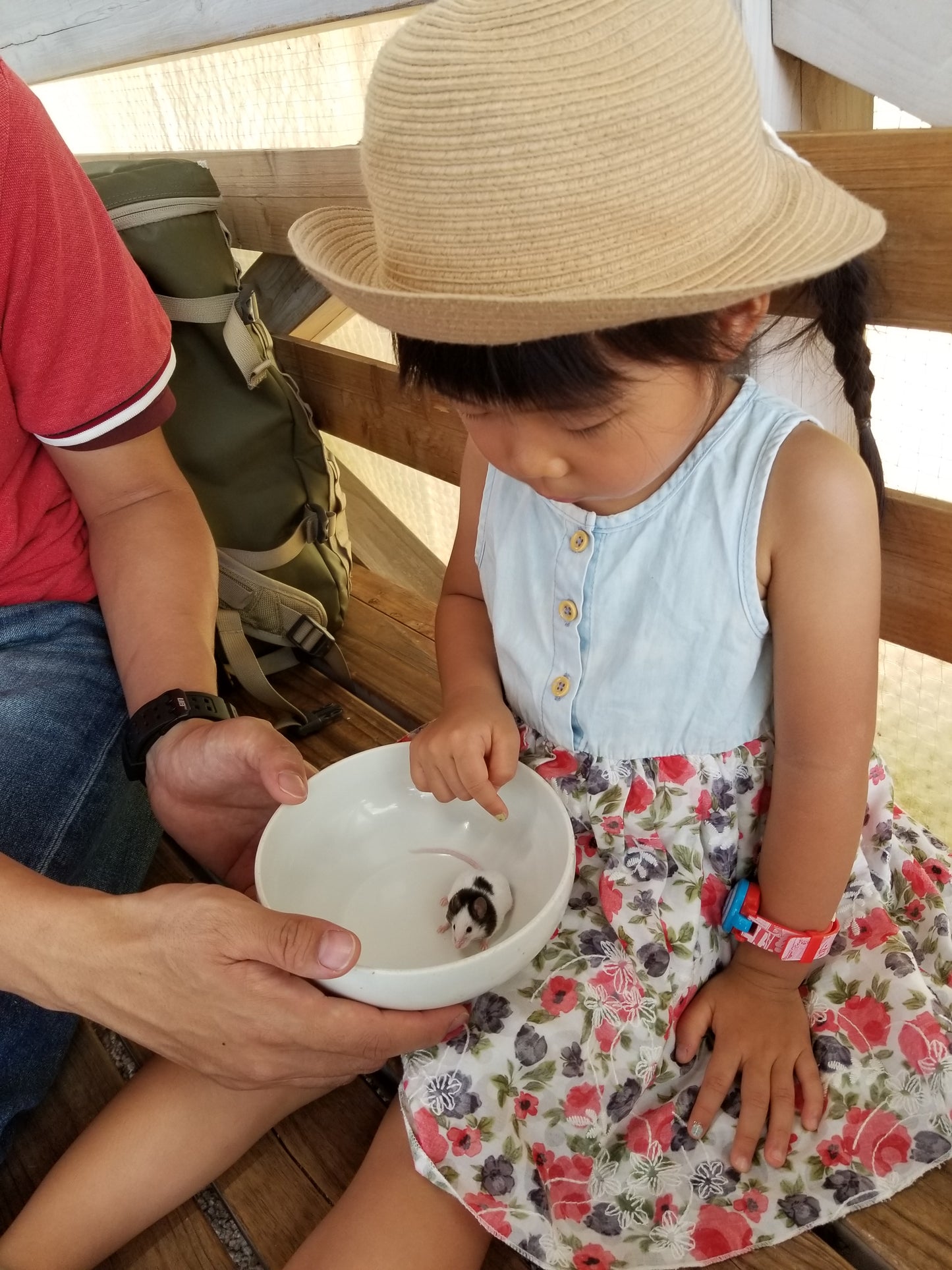 Playground at Zoo & Eat Japanese food