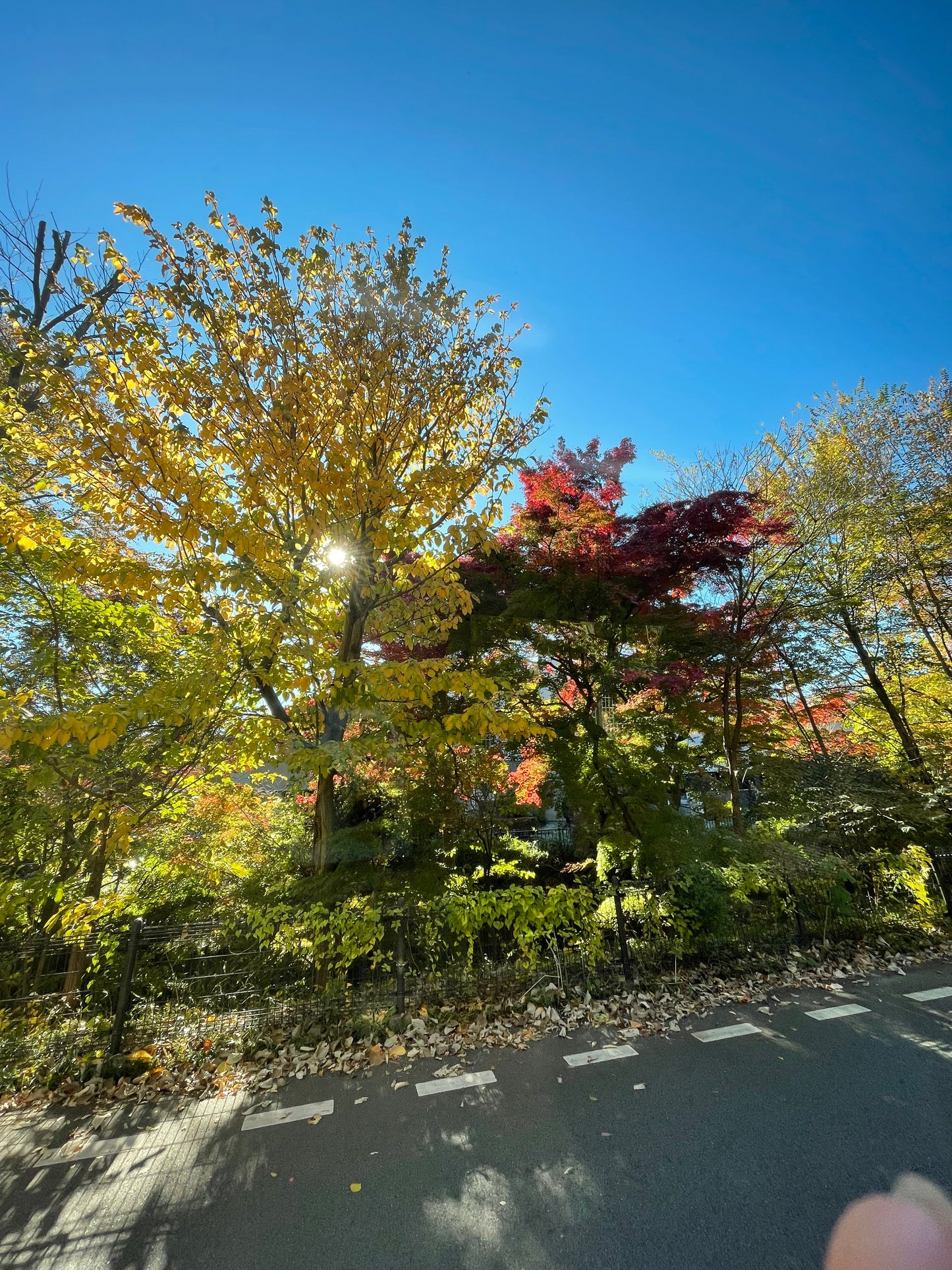 Ghibli Museum & Playground Adventure