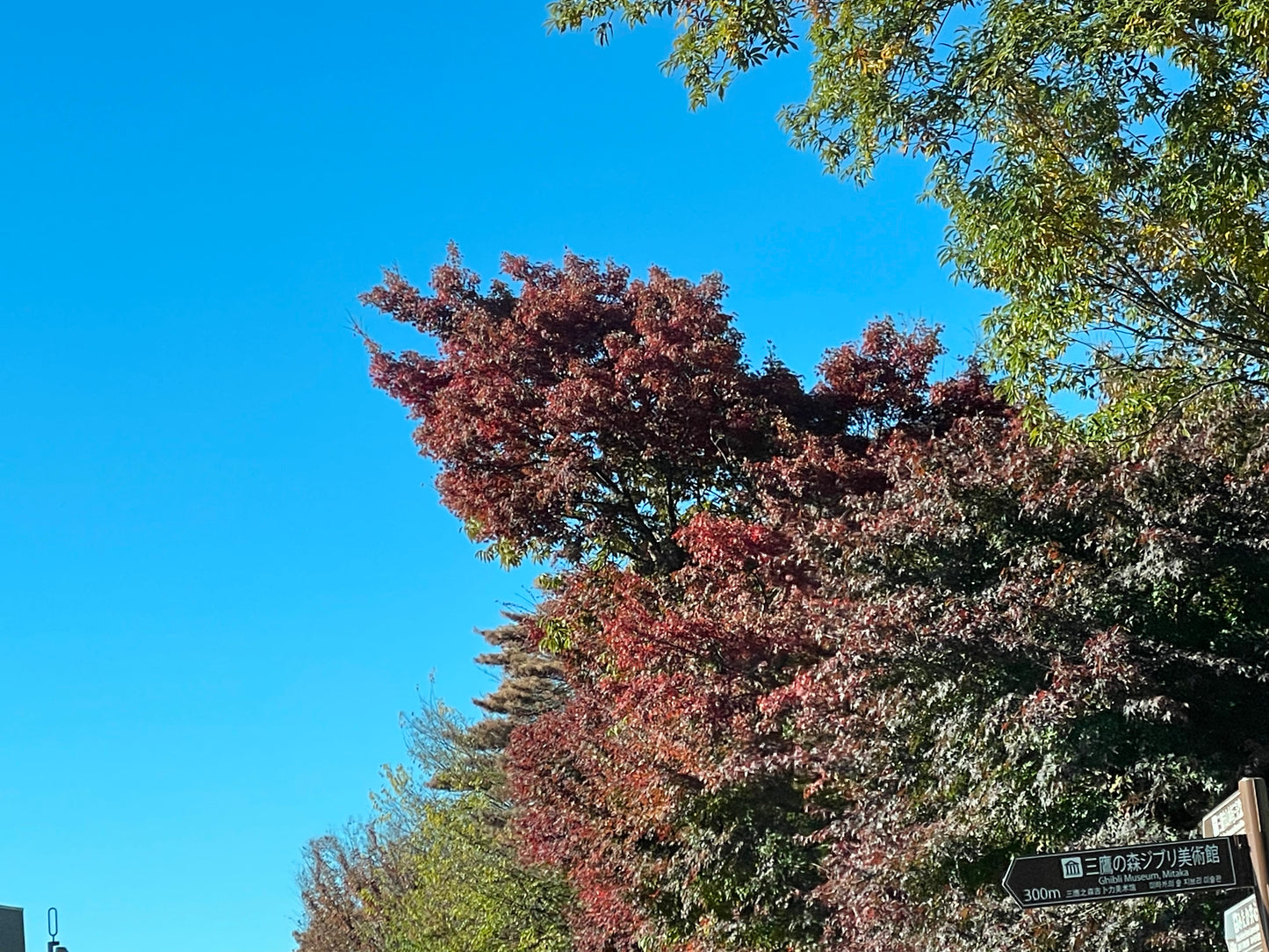 Ghibli Museum & Playground Adventure