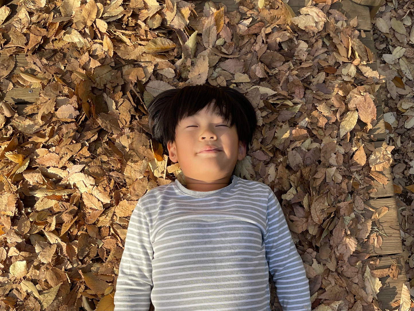 Ghibli Museum & Playground Adventure