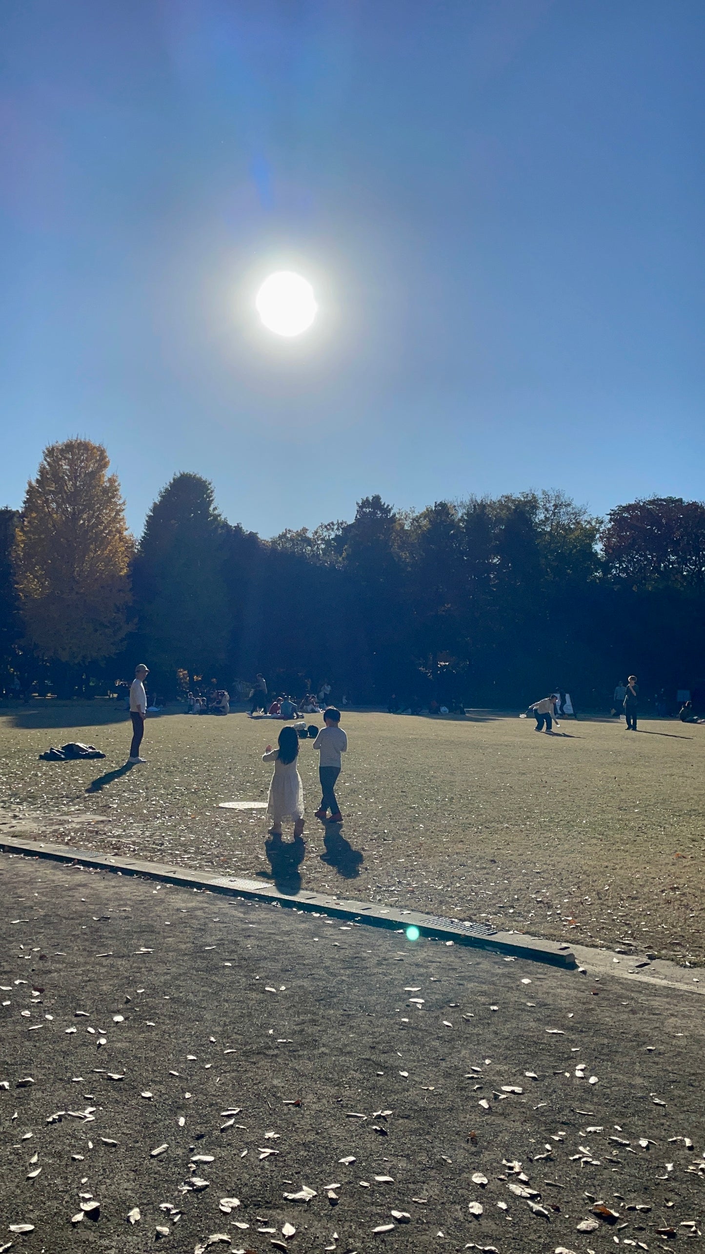 Ghibli Museum & Playground Adventure