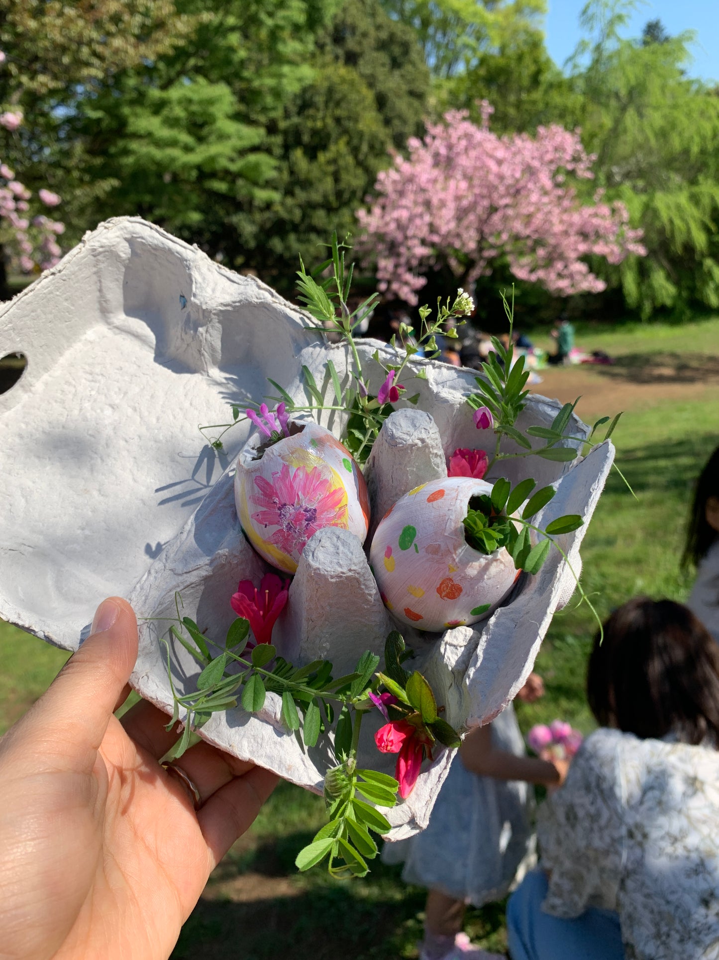 Cherry blossom viewing picnic in Koganei Park