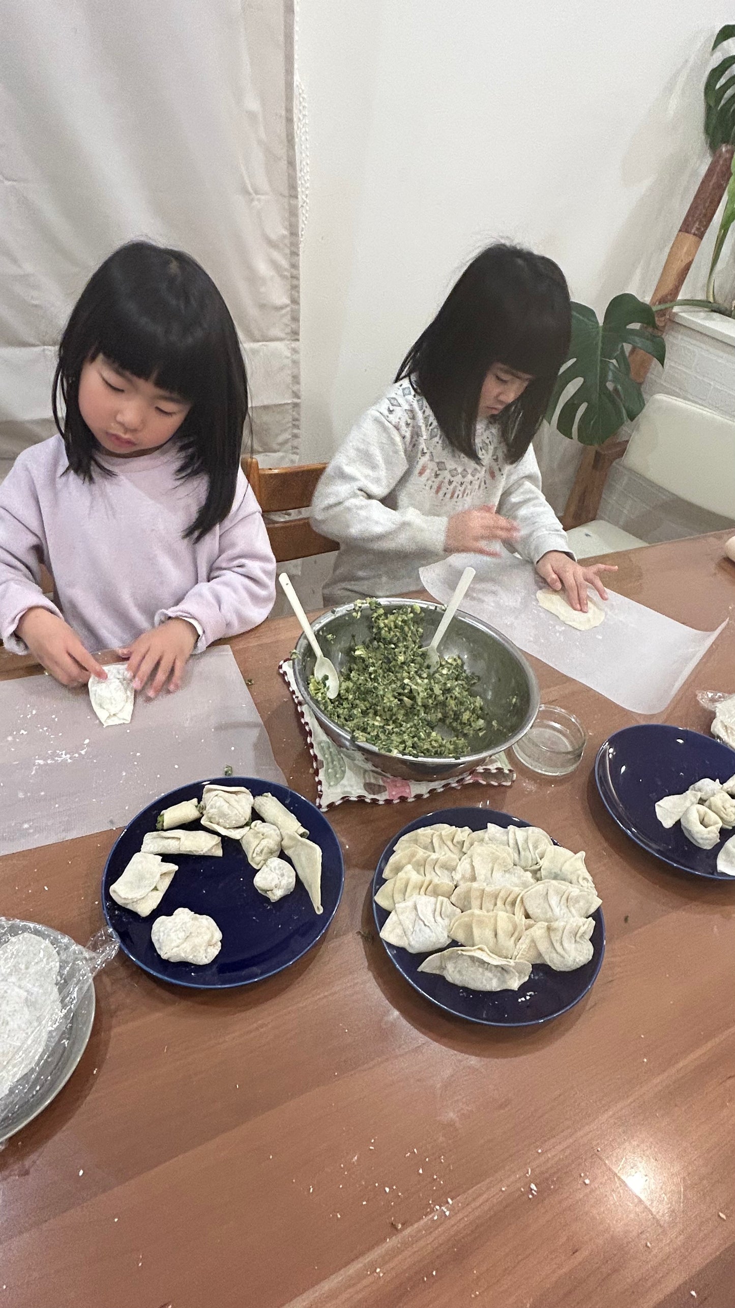 Cooking original Gyoza at a Japanese Home