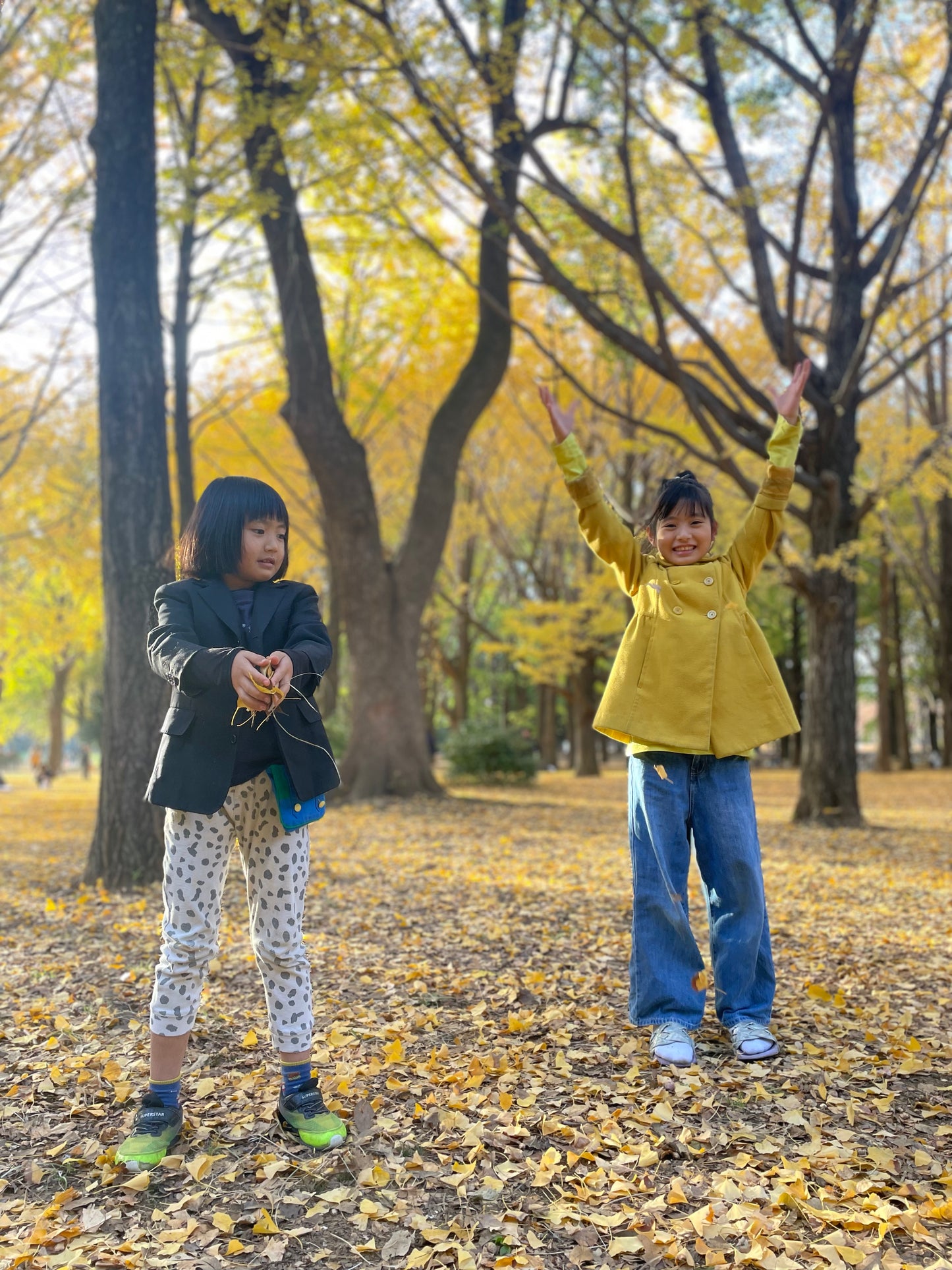 Onigiri Picnic in Yoyogi Park