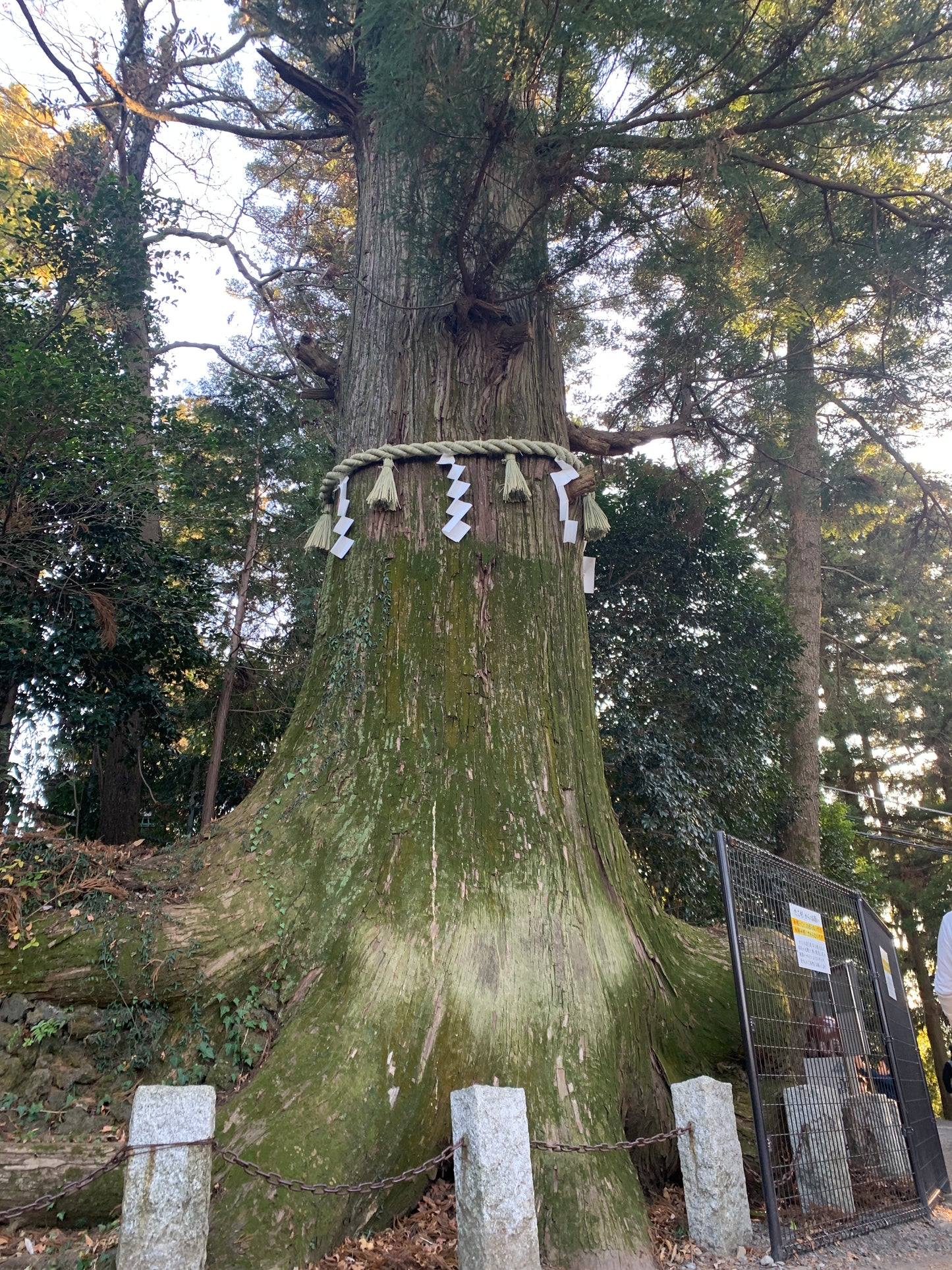 Kids friendly hiking trip to Mt.Takao