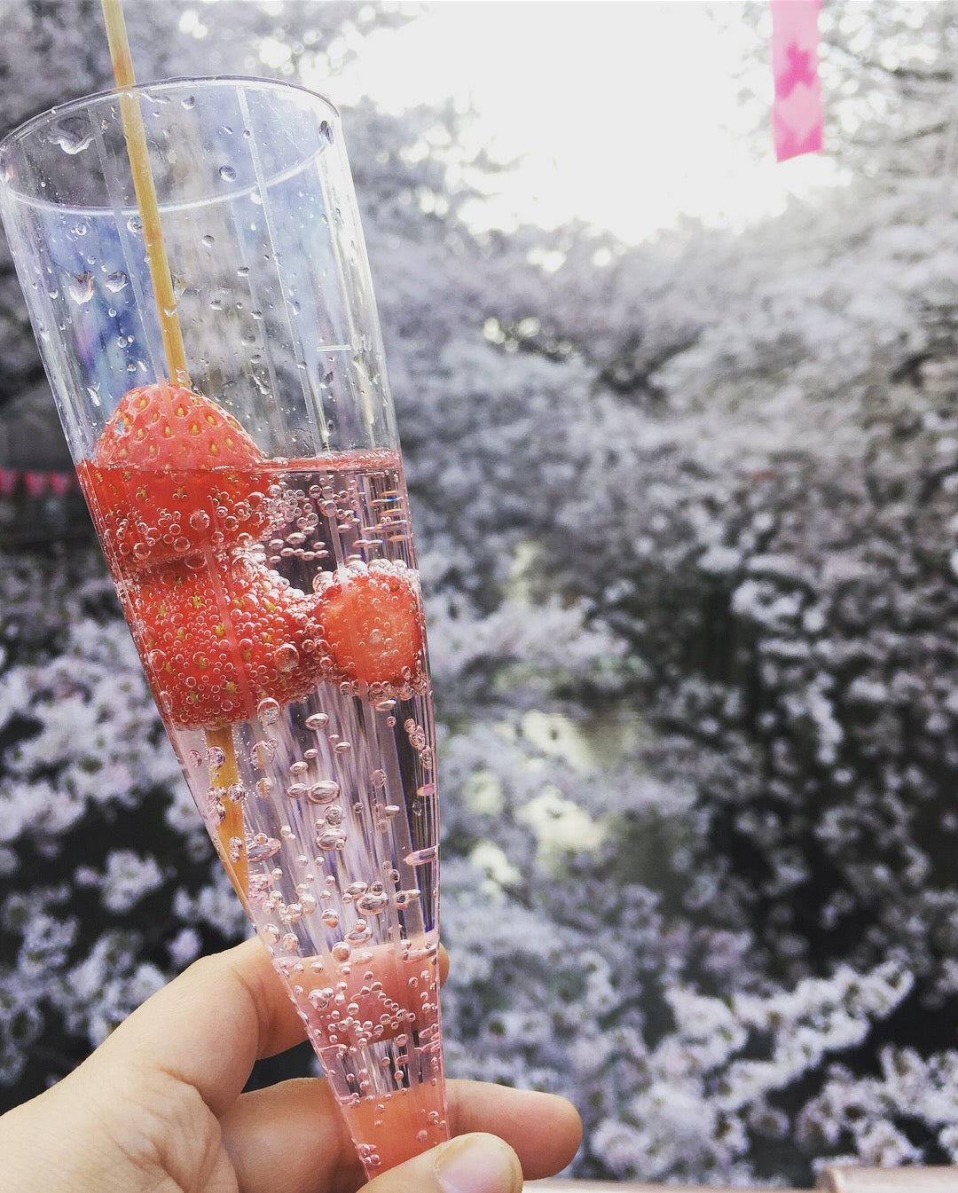 Cherry blossom viewing picnic in Koganei Park