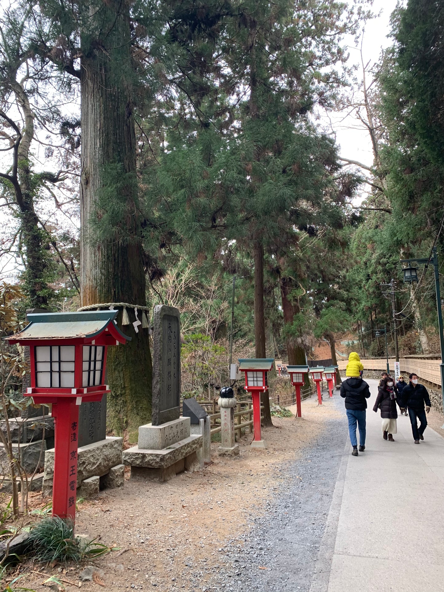 Kids friendly hiking trip to Mt.Takao