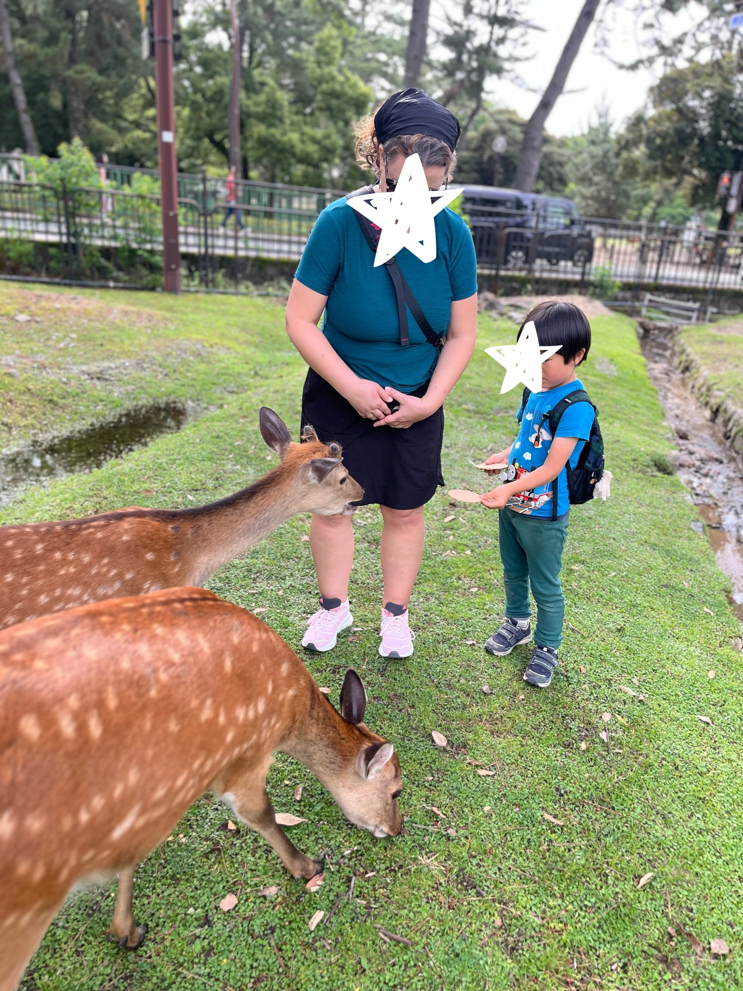 Feeding Deer at Nara Park