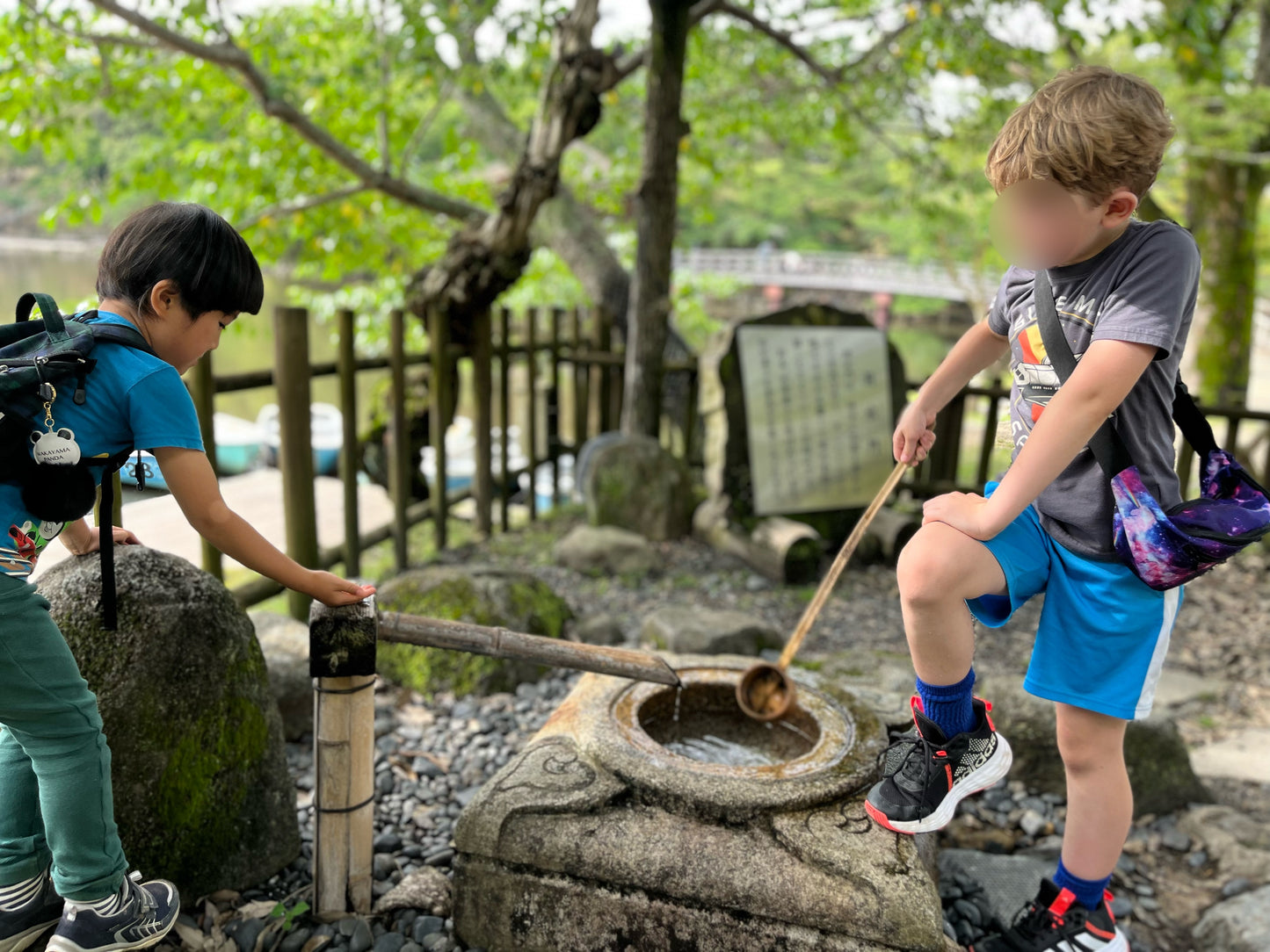 Feeding Deer at Nara Park