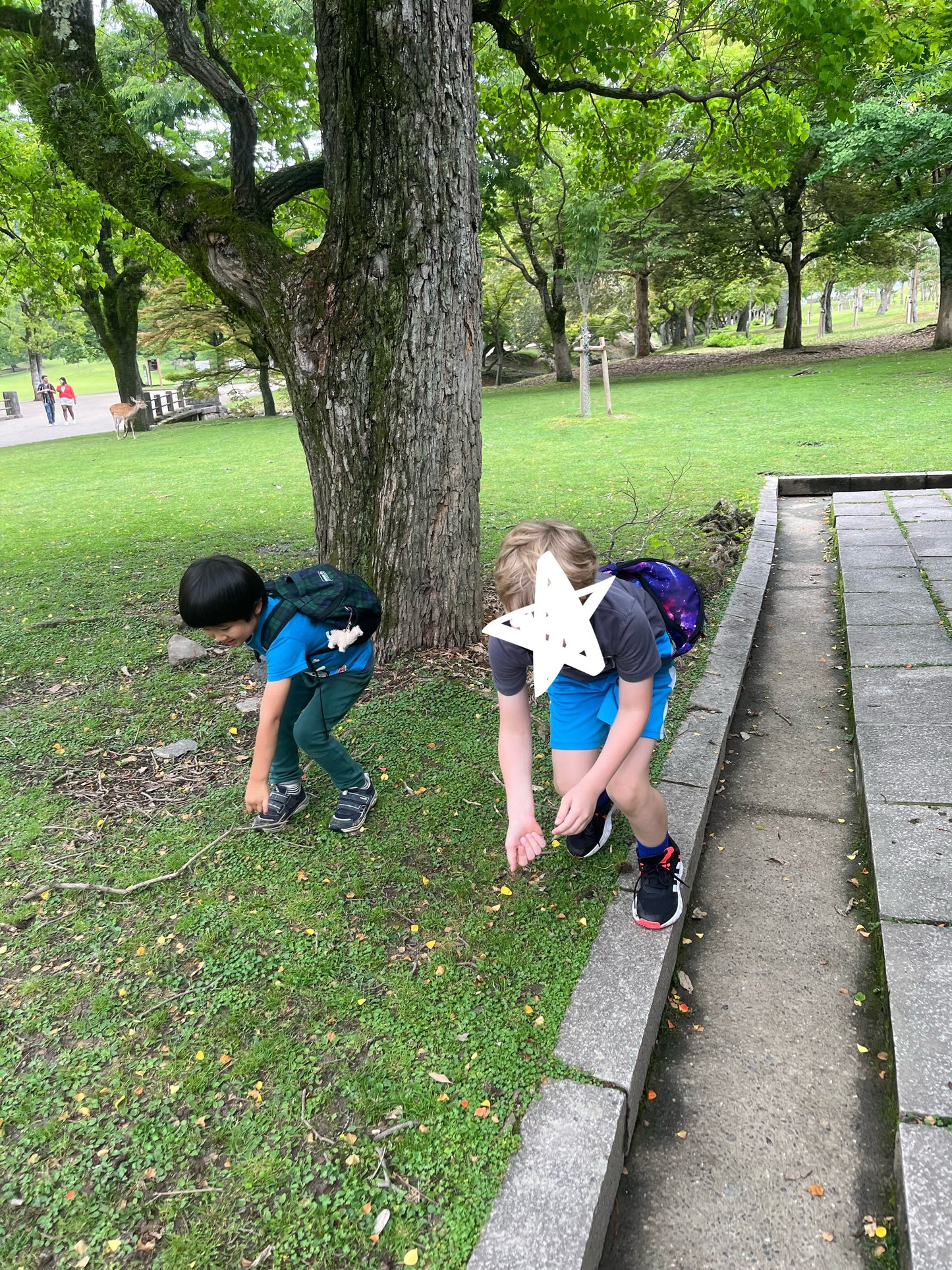 Feeding Deer at Nara Park
