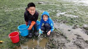 Shellfish Gathering & Homemade Lunch - April-June Limited