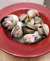 Shellfish Gathering & Homemade Lunch - April-June Limited