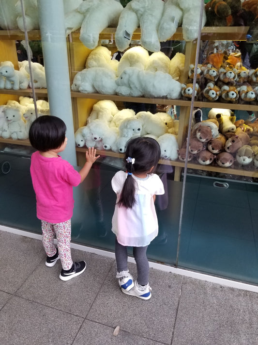 Playground at Zoo & Eat Japanese food