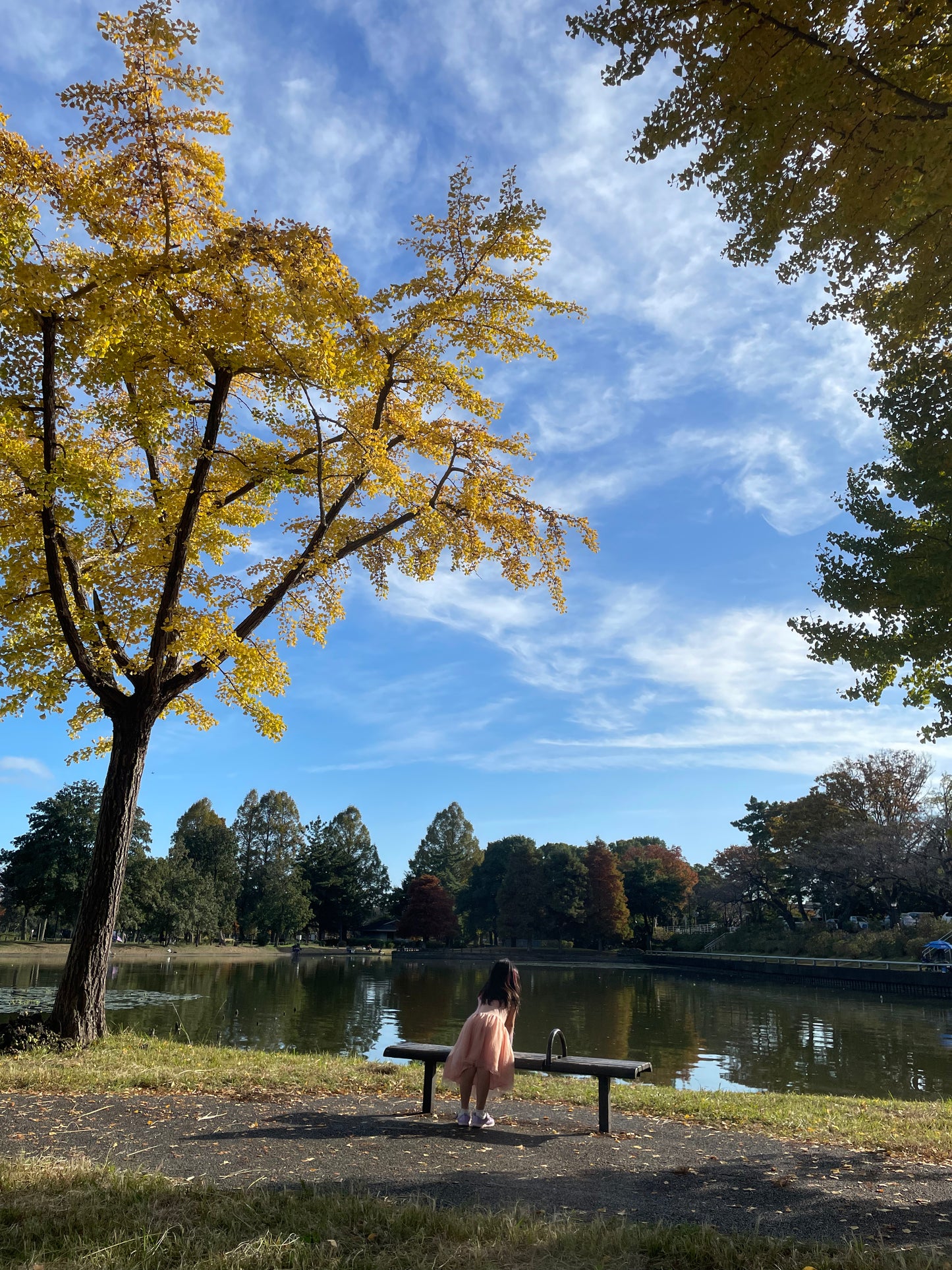 Ghibli Museum & Playground Adventure