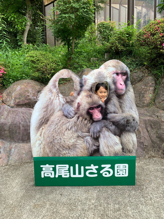 Kids friendly hiking trip to Mt.Takao