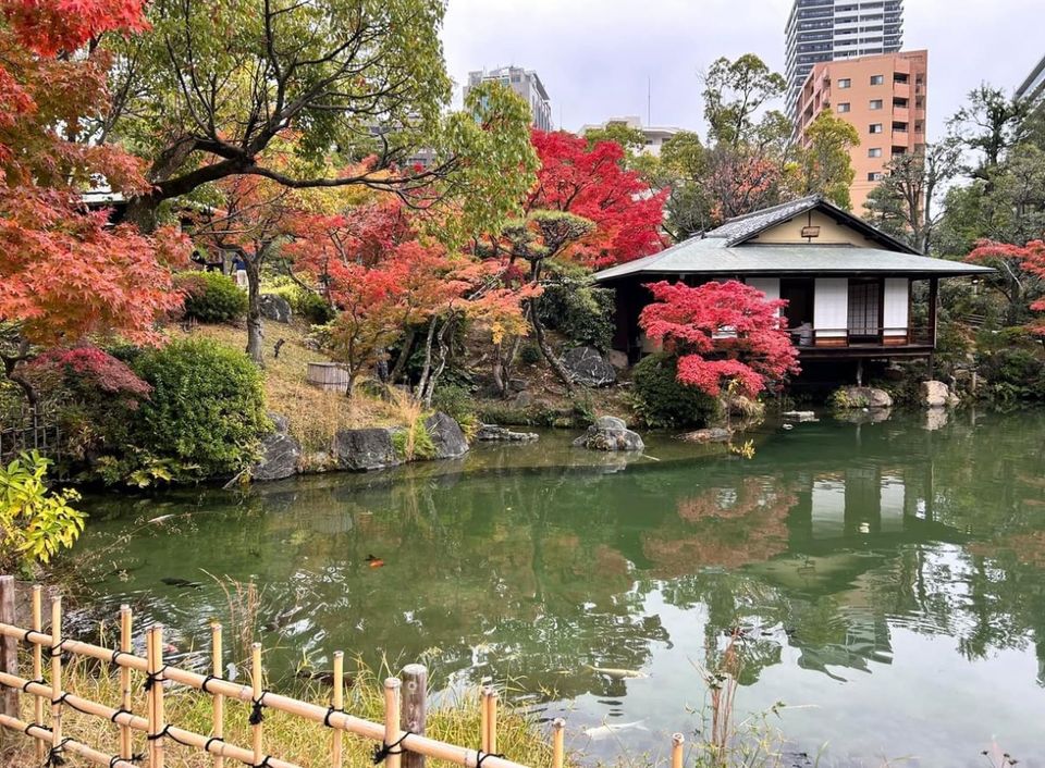 [December 1st Nara/Osaka] Autumn in Nara Park in Nara/Osaka