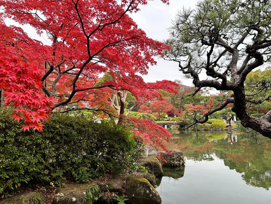 [November 29th Kobe] Garden Stroll and Lunch in Kobe