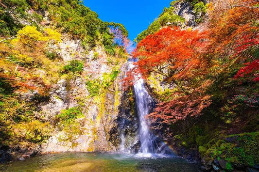 [December 1st Osaka] Minoh Waterfall Hiking and Scavenger Hunt in Osaka