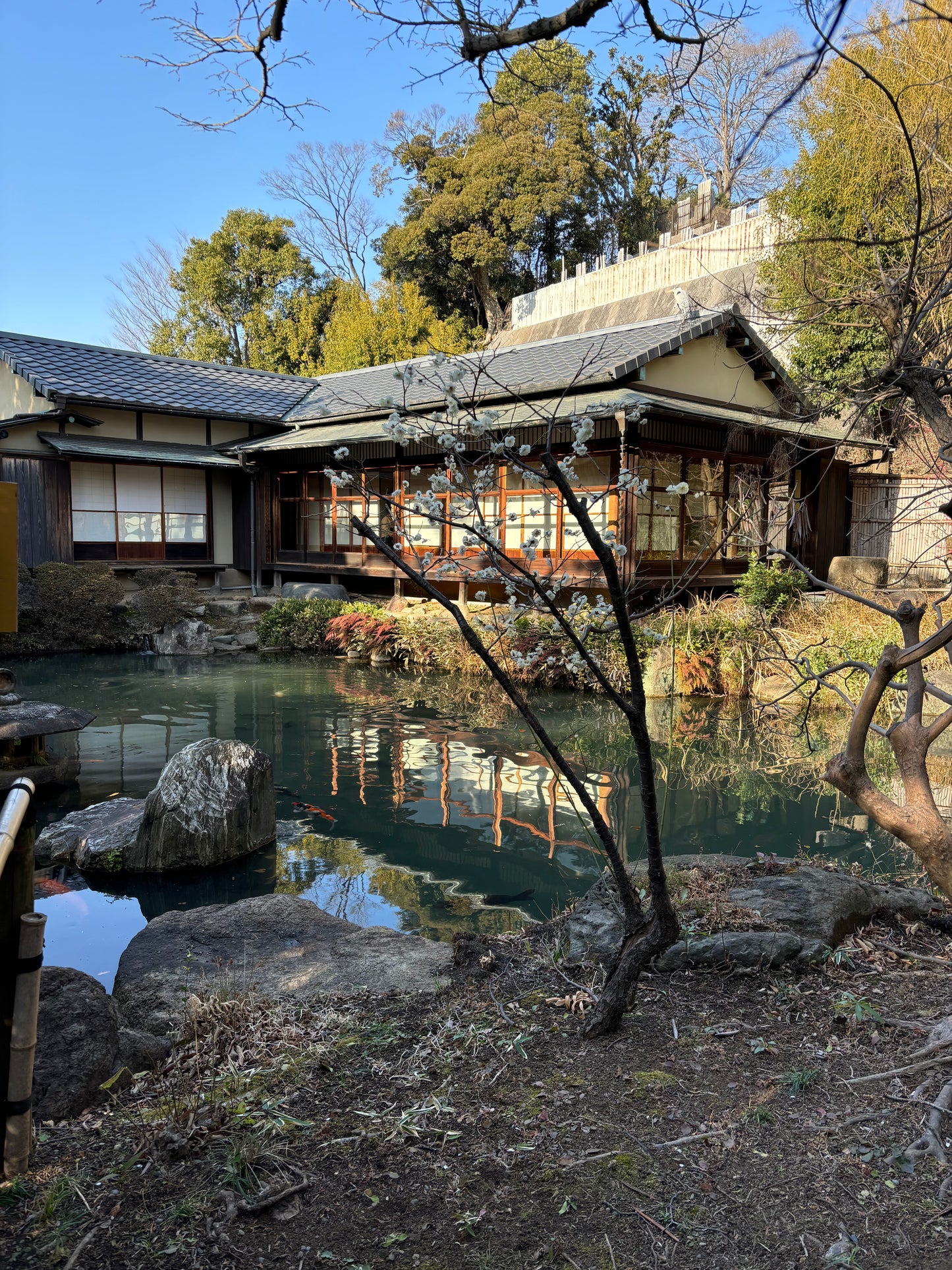 Old town walk and onsen in central Tokyo