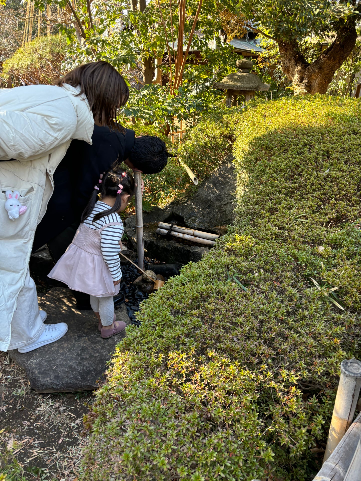 Old town walk and onsen in central Tokyo