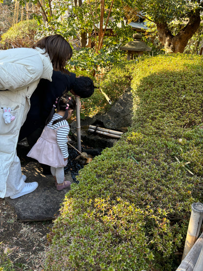 Old town walk and onsen in central Tokyo