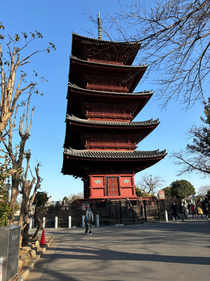 Old town walk and onsen in central Tokyo