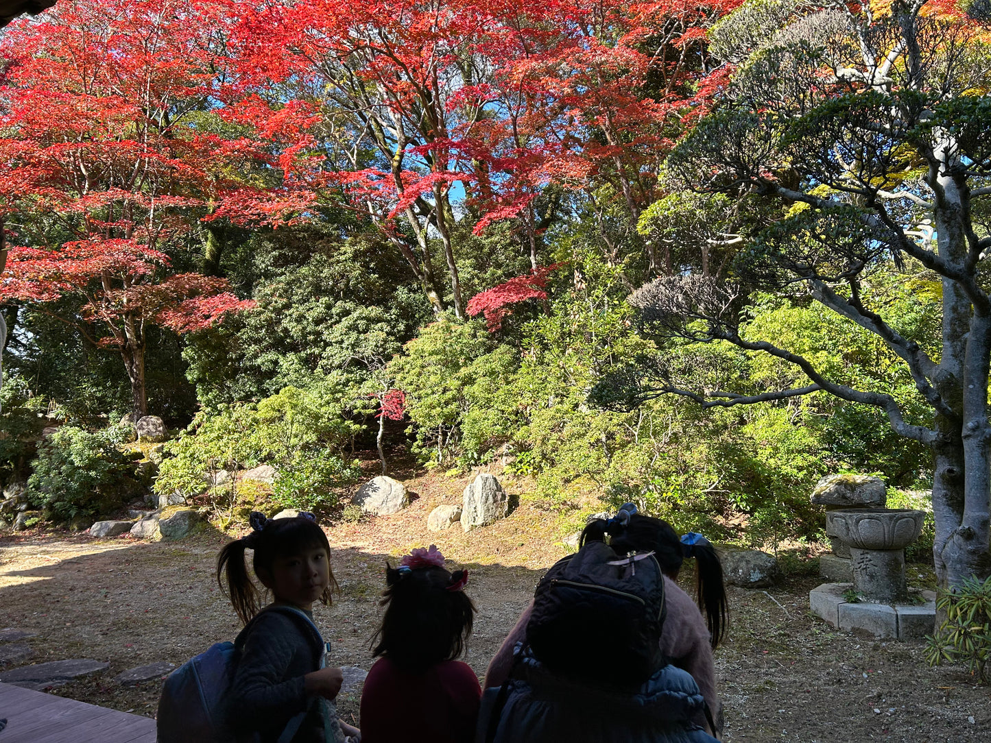 Explore Himeji castle & Japanese Garden,Explore Himeji Castle & Tempura lunch, Shoshazan Engyoji Temple & Japanese sweets