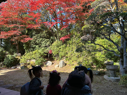 Explore Himeji castle & Japanese Garden,Explore Himeji Castle & Tempura lunch, Shoshazan Engyoji Temple & Japanese sweets