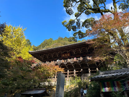 Explore Himeji castle & Japanese Garden,Explore Himeji Castle & Tempura lunch, Shoshazan Engyoji Temple & Japanese sweets