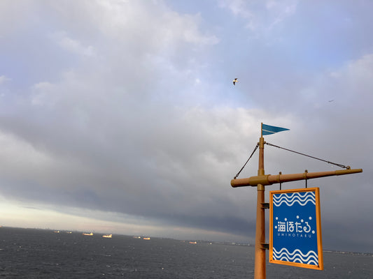 Undersea Tunnel & Ocean Views at Umihotaru