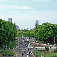 Onigiri Picnic in Yoyogi Park