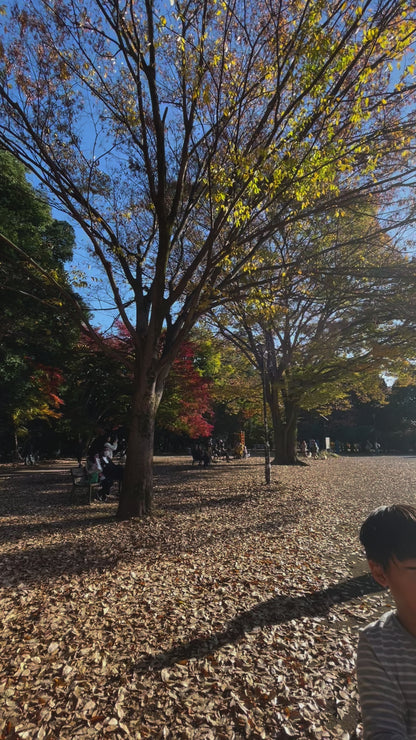 Botany painting at lotus pound in Ueno park