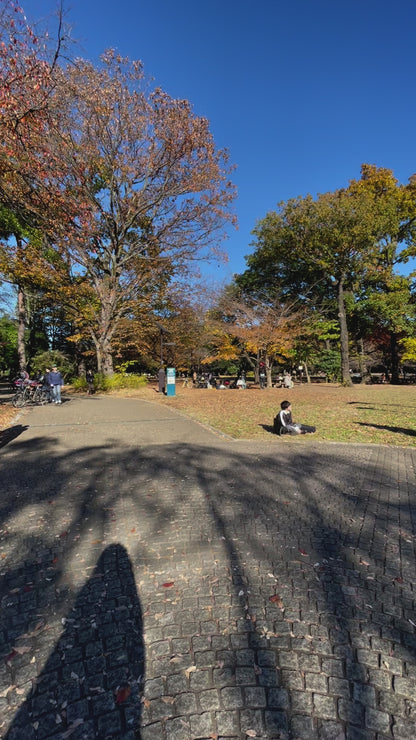 Ghibli Museum & Playground Adventure